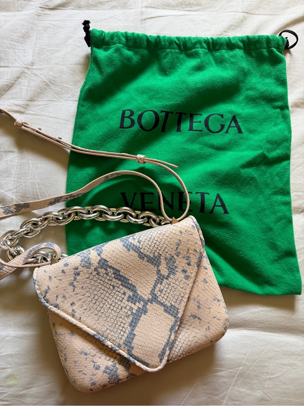 Bottega Veneta Beige and Gray Snakeskin Crossbody with Silver Chain